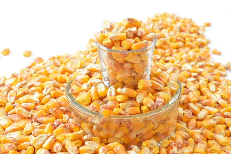 grains, corn, glass jar-1621884.jpg