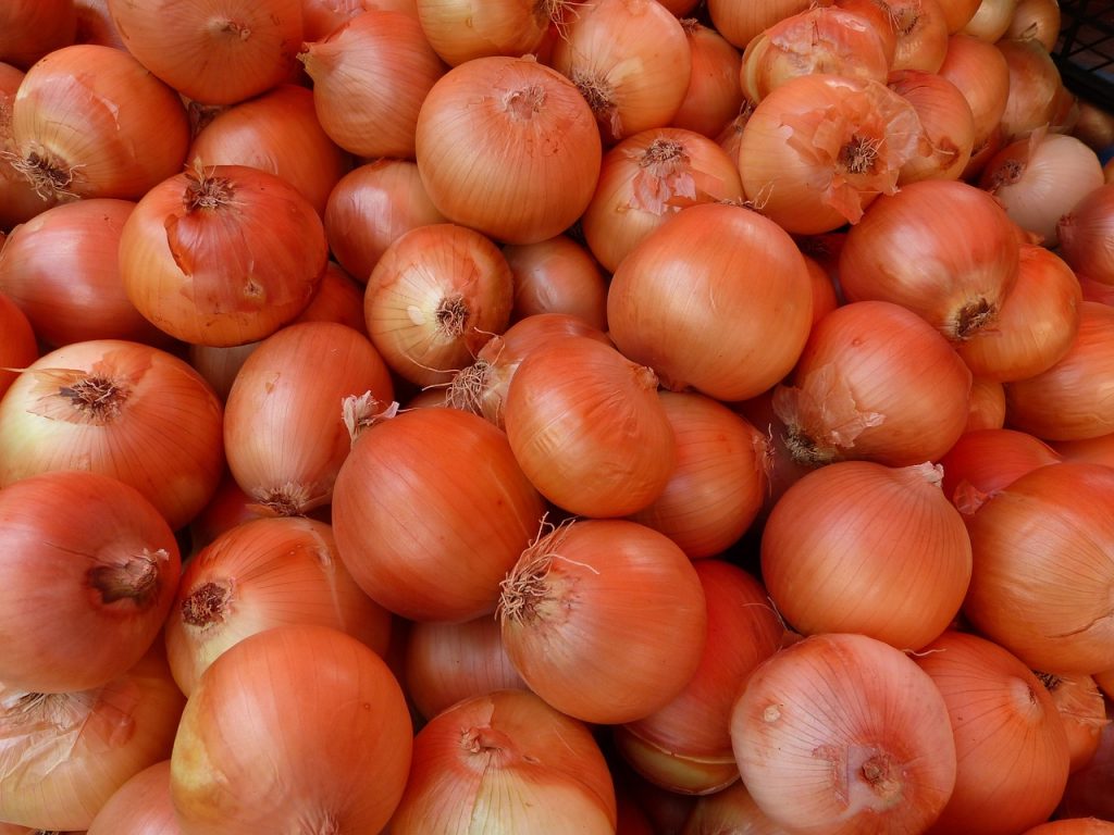 onion, vegetables, shell-65296.jpg